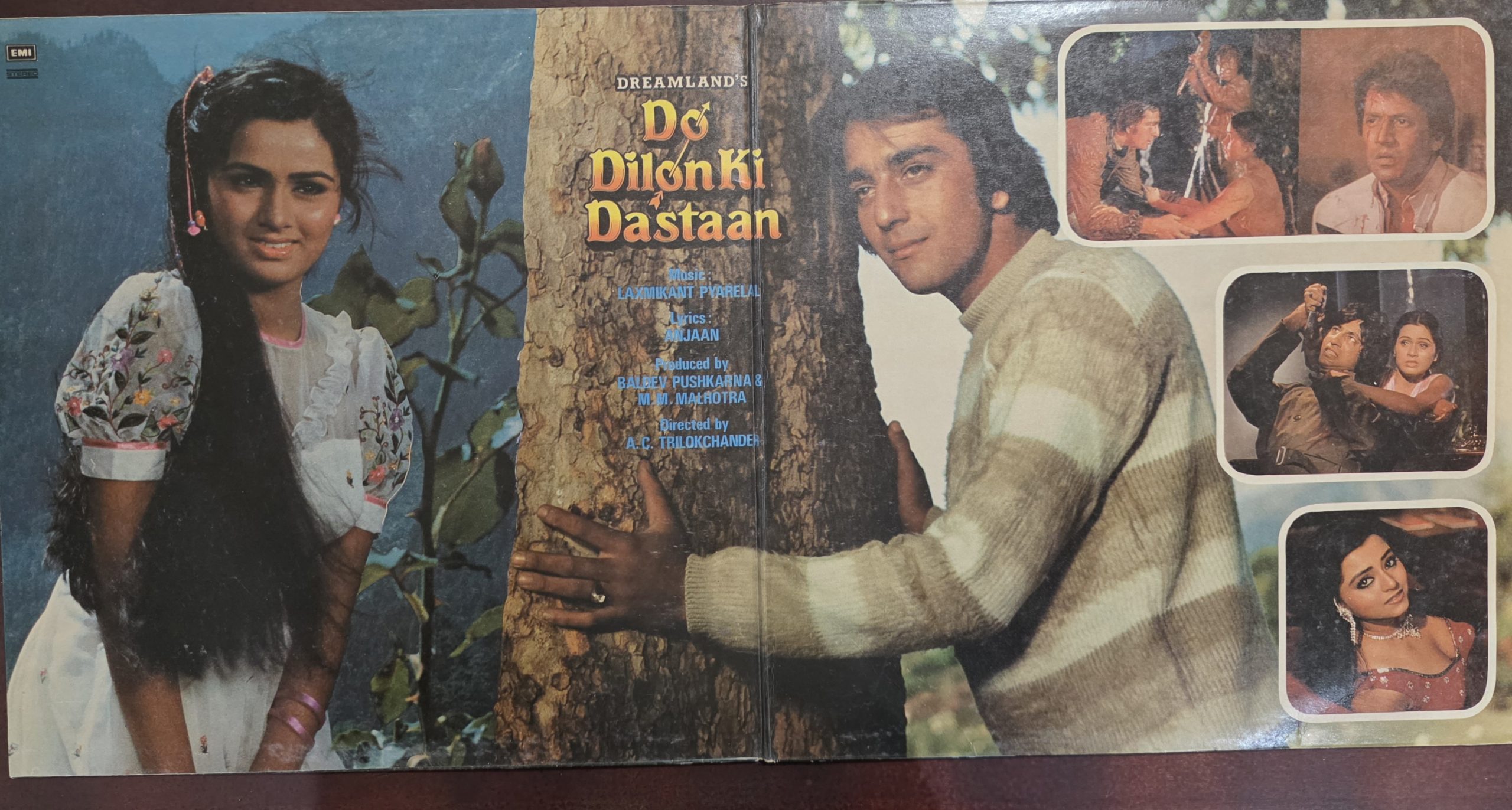 Do Dilon Ki Dastaan – Record LP Vinyl Vintage -Bollywood - Image 3
