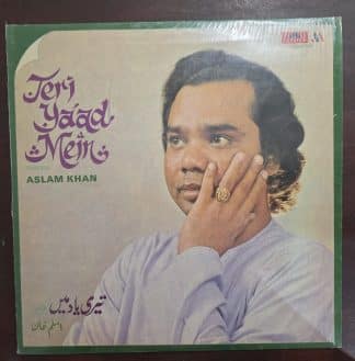 Teri Yaad Mein - Ghazals – Record LP Vinyl Vintage