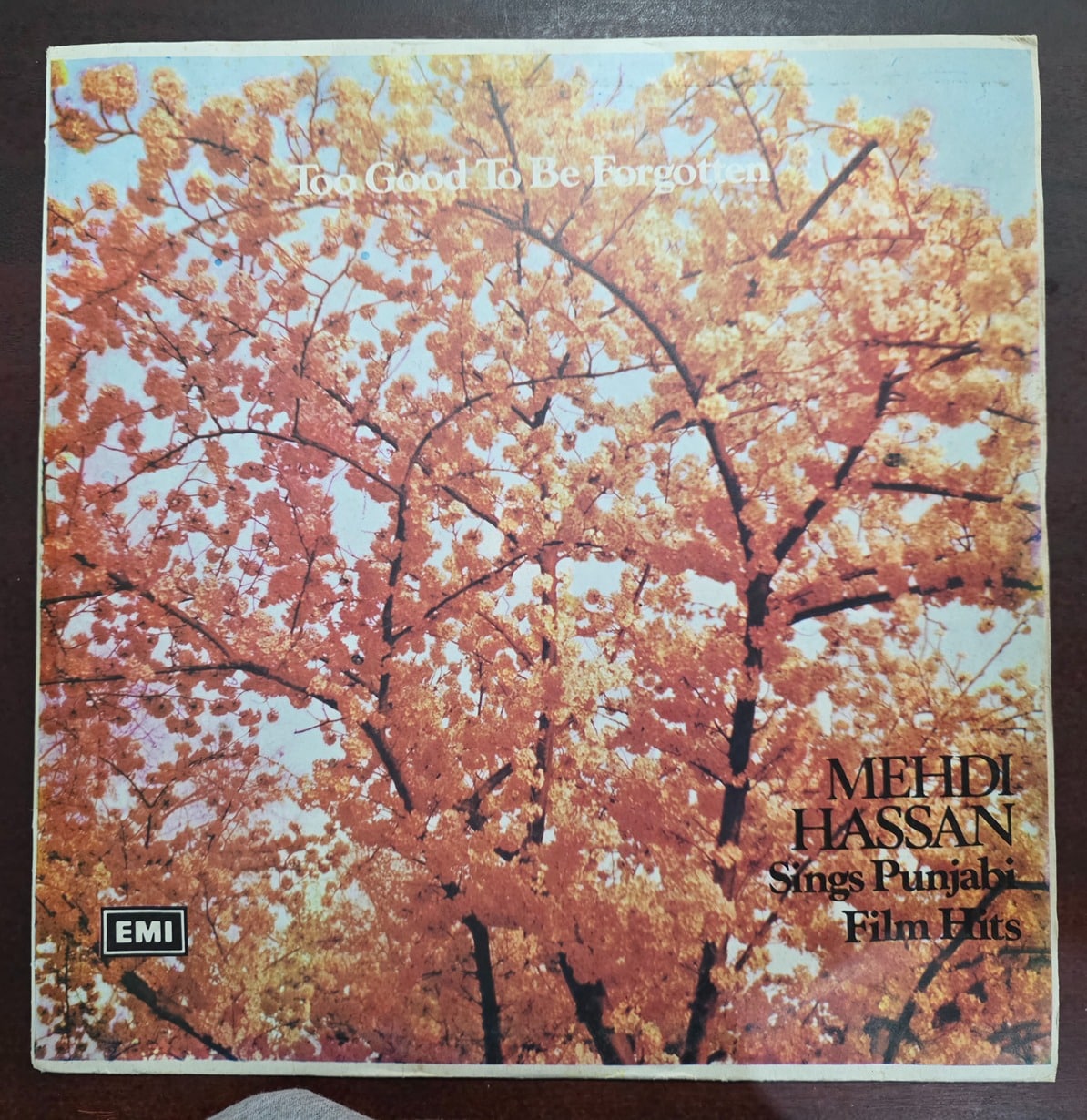 Too Good To Be Forgotten (Mehdi Hassan Sings Punjabi Film Hits) - Record LP Vinyl Vintage Bollywood